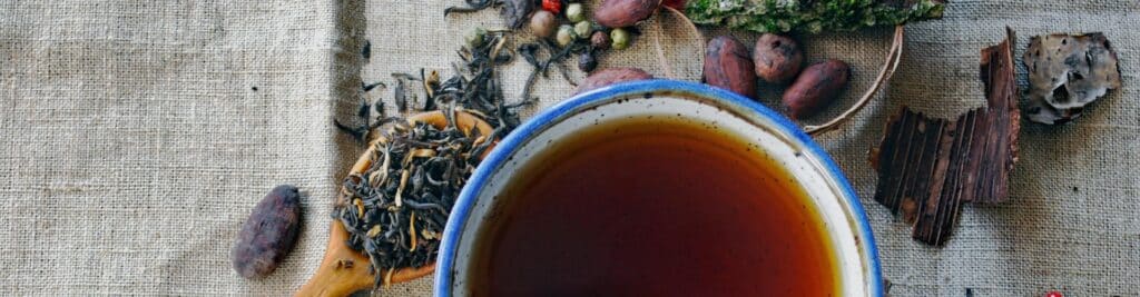 what is ayahuasca