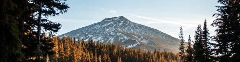 Psychedelic Mushroom Therapy in Bend Oregon