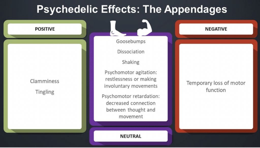 Psychedelic effects in the appendages