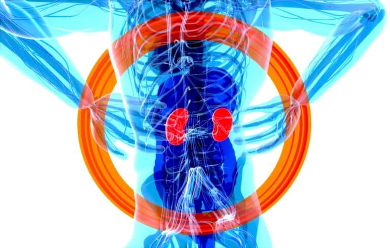 psychedelics and kidney disease